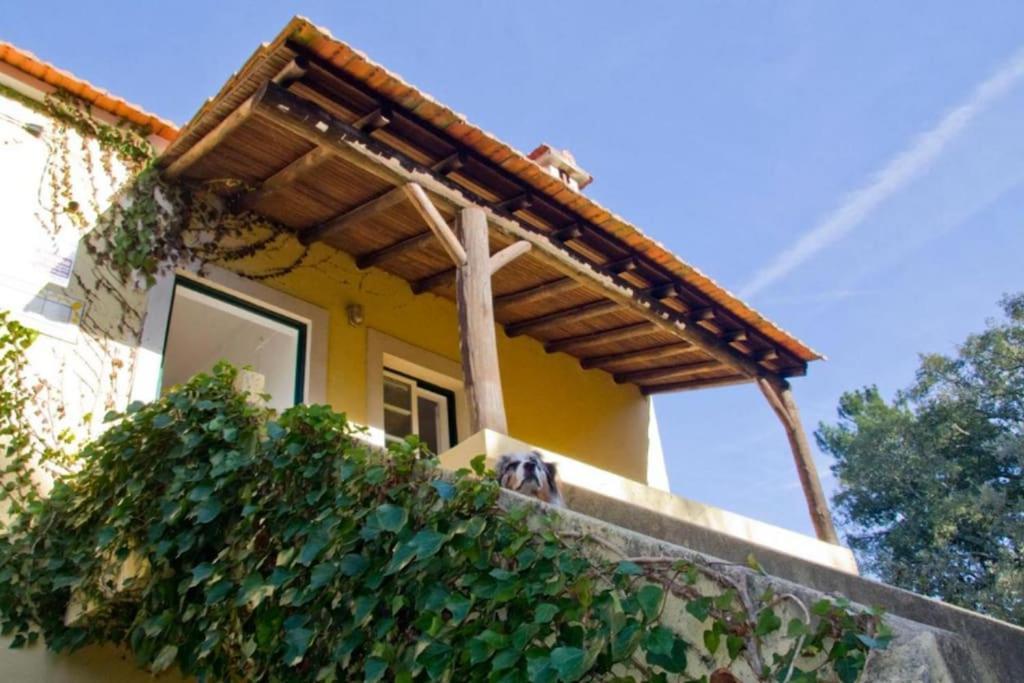 Casa Da Ruiva Βίλα Serra Εξωτερικό φωτογραφία