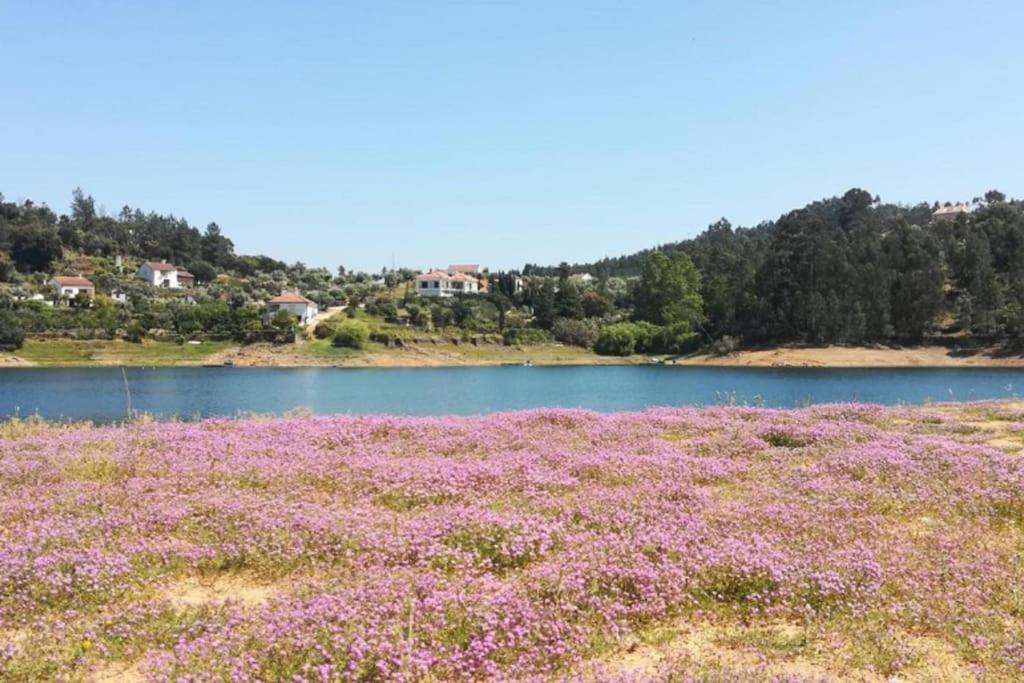Casa Da Ruiva Βίλα Serra Εξωτερικό φωτογραφία