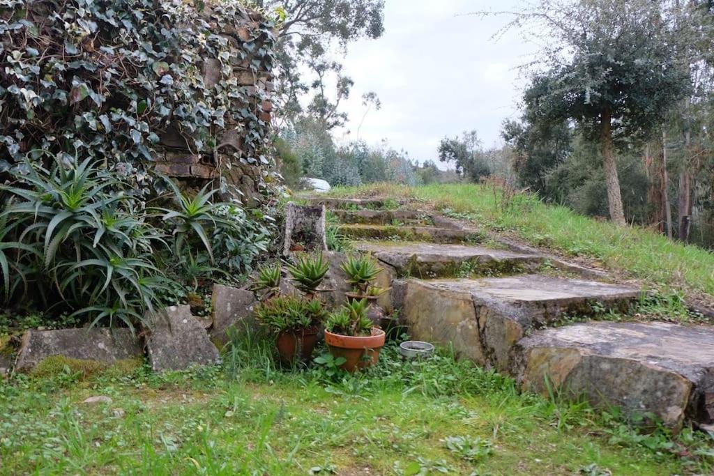 Casa Da Ruiva Βίλα Serra Εξωτερικό φωτογραφία